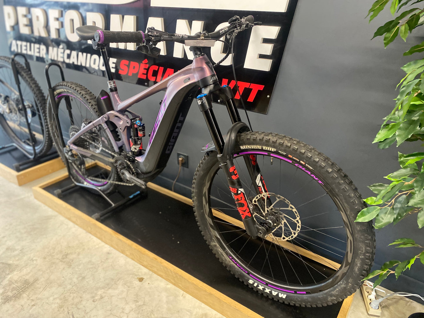 Giant Reign E+1 2024